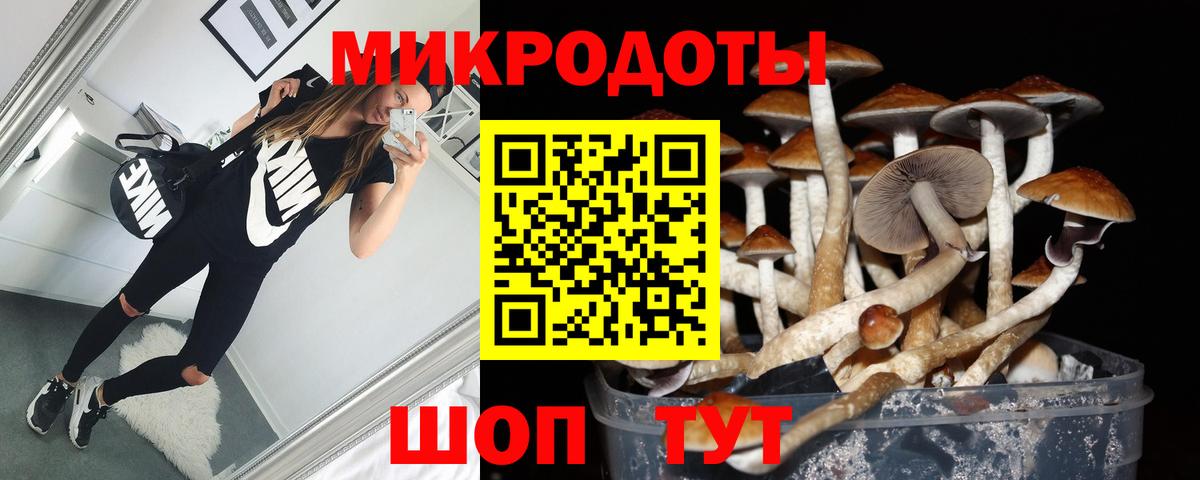 Псилоцибиновые грибы Cubensis Киров