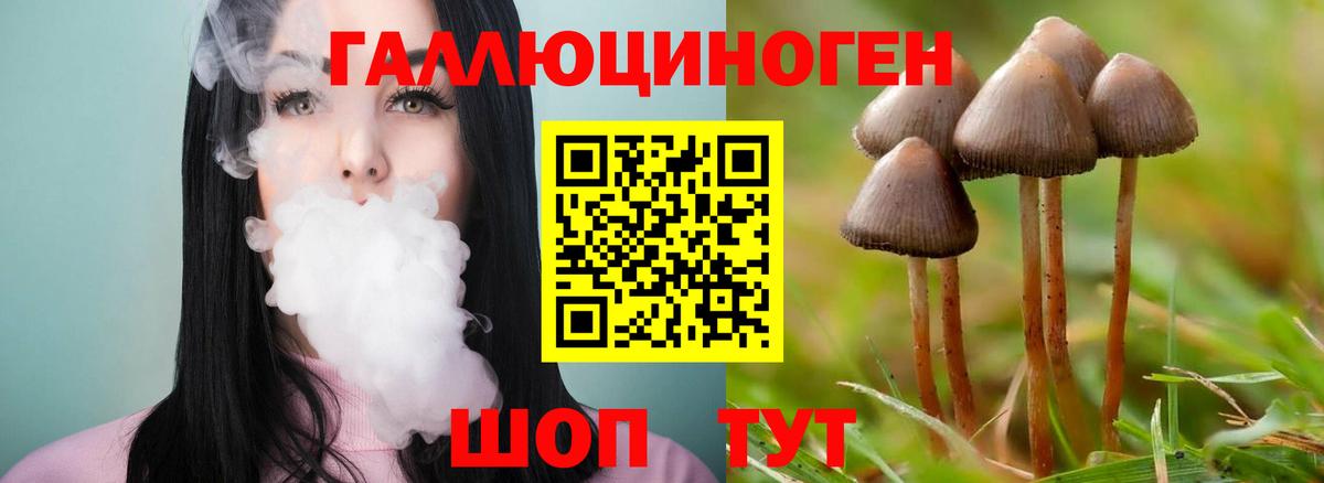 Киров  Галлюциногенные грибы Psilocybine cubensis  Вход с VPN  Галлюциногенные грибы Cubensis 